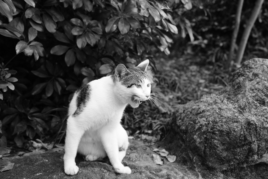 DSC00021